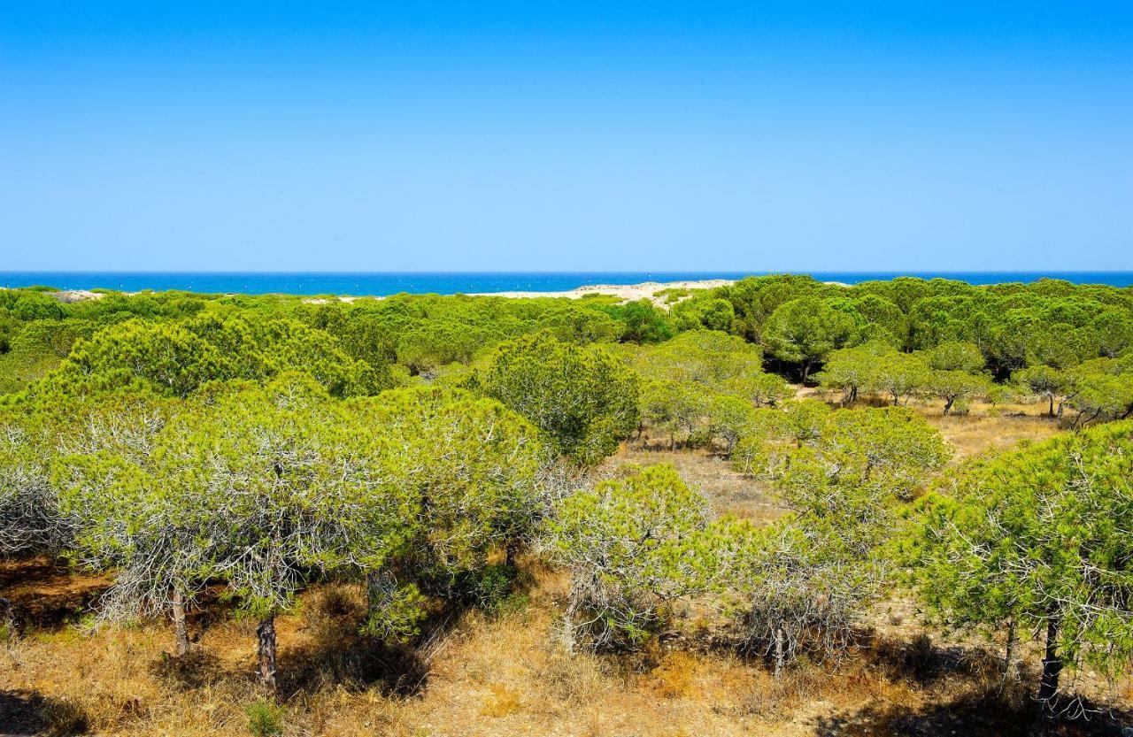 Luxury Pinada Beach Ла-Мата Экстерьер фото